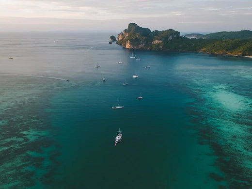 World of Cruising